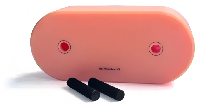 臀部模體(髖關節(jié)模體)